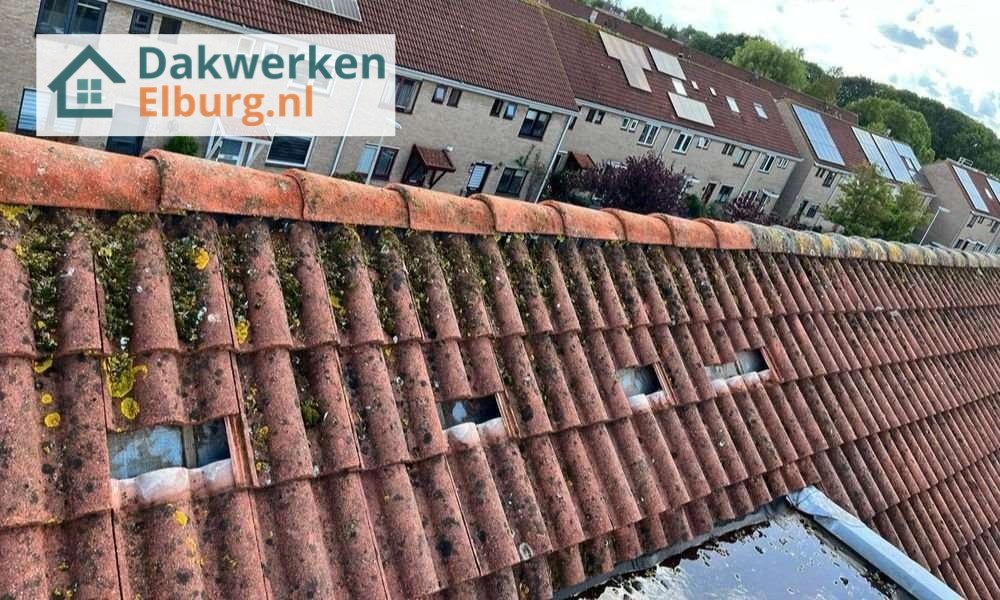 Een dakrenovatie bij oud pannendak Een dakrenovatie bij oud pannendak in Elburg